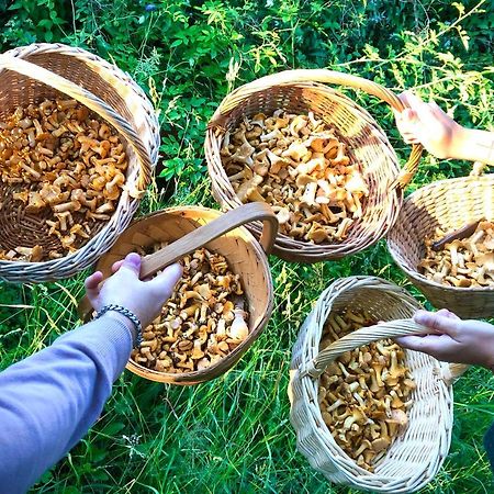 Tofvehults Boende Skaftet Εξωτερικό φωτογραφία